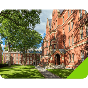 Schools & Universities